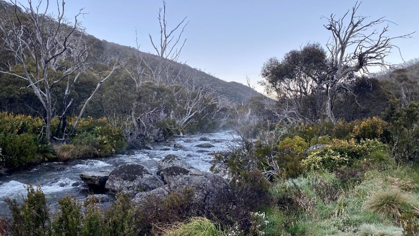 Snowy Mountains Special Activation Precinct