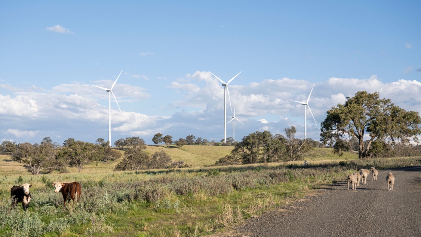 Spicers Creek Wind Farm